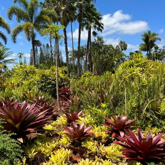 Bundle&Save - Picture 9 of 12